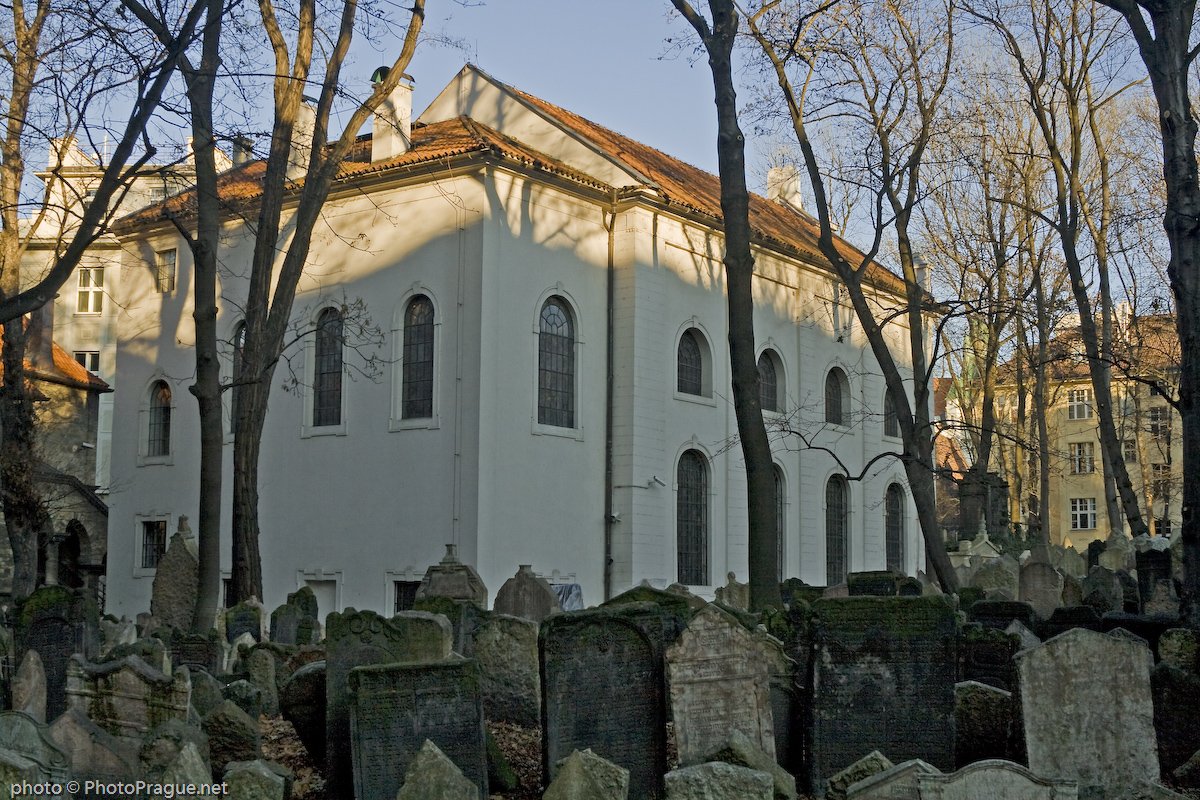 A view of a cemetery and its graves, with a synagogue and bare trees in the background.