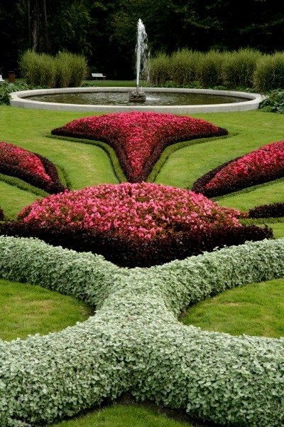 Royal garden 6